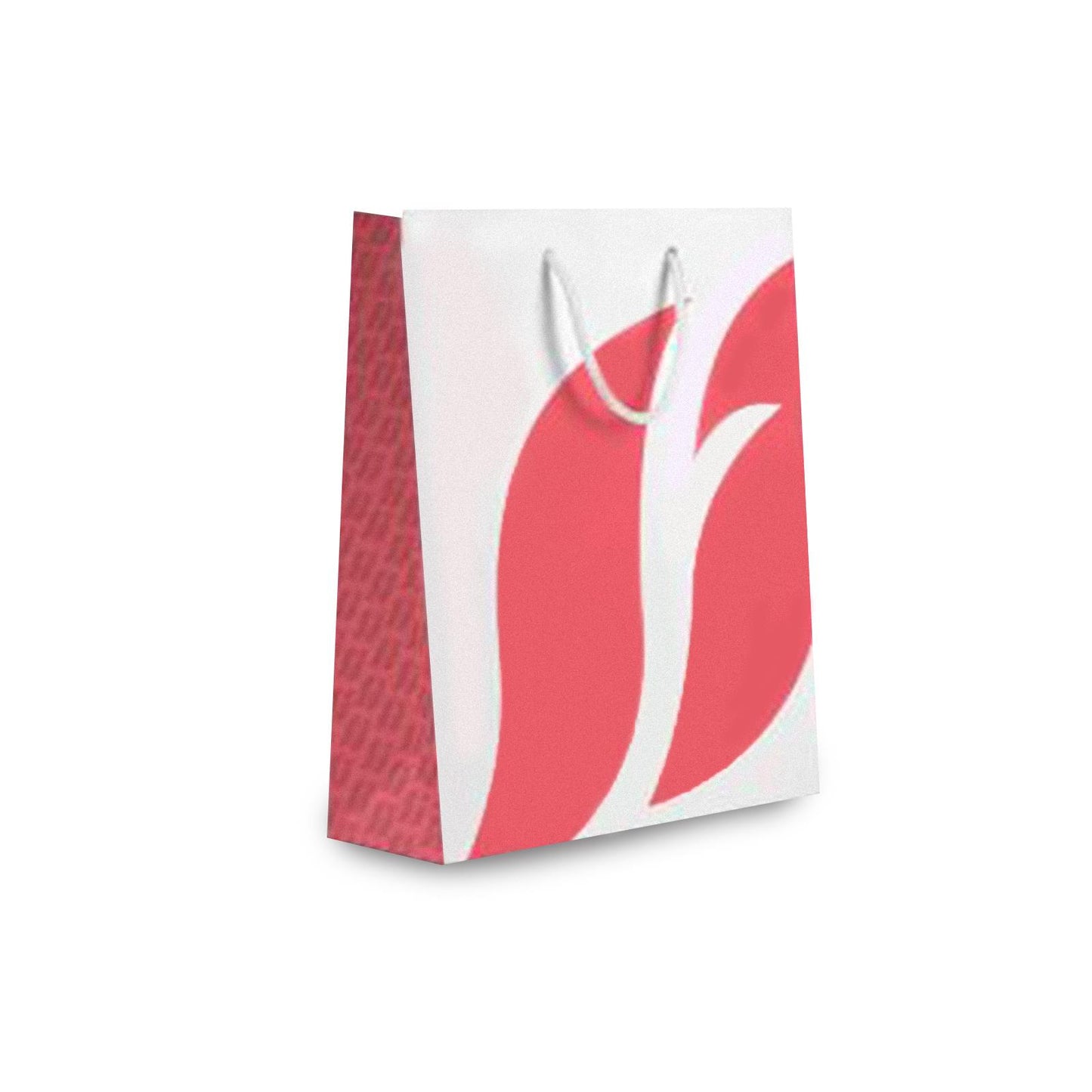 Bolsa de Carton Grande